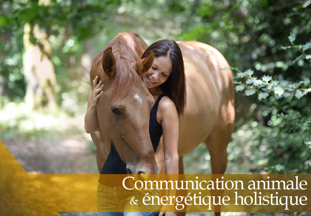 Communication animale et soin magnétisme